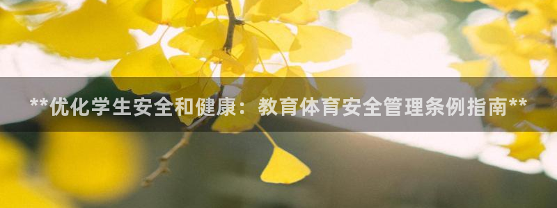 Bsport体育必一