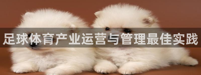 必一运动tieba.