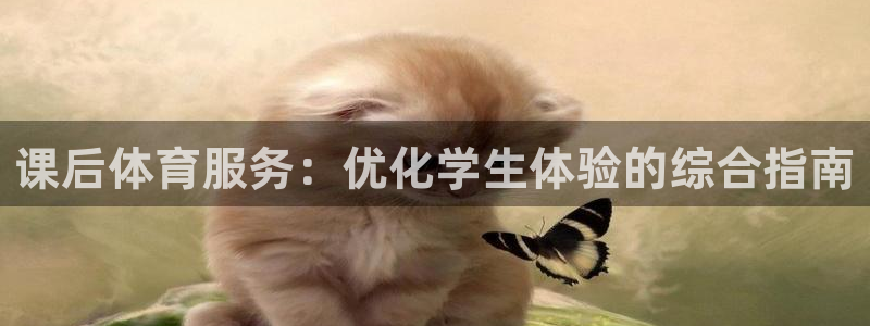 必一体育运动官网：课