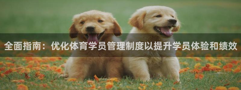 必一体育登入：全面指