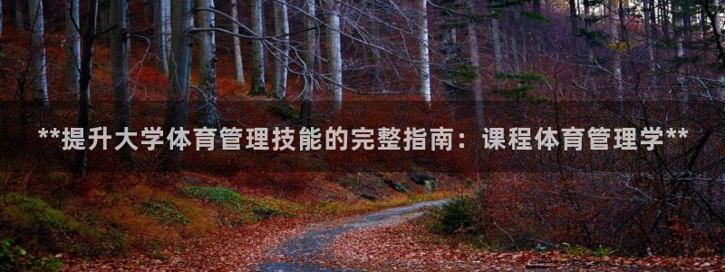 必一体育官网入口：*