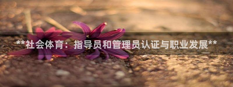 必一体育下载入口：*