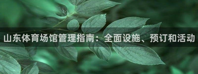 必一体育下载秀给网：