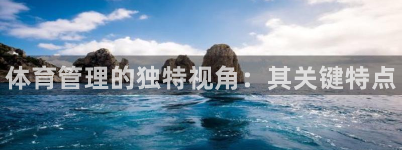 必一体育sportB