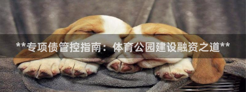 必一体育app官方：