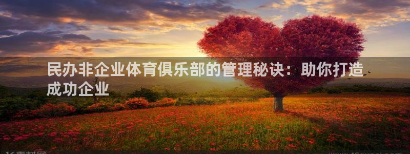 必一体育在线玩：民办