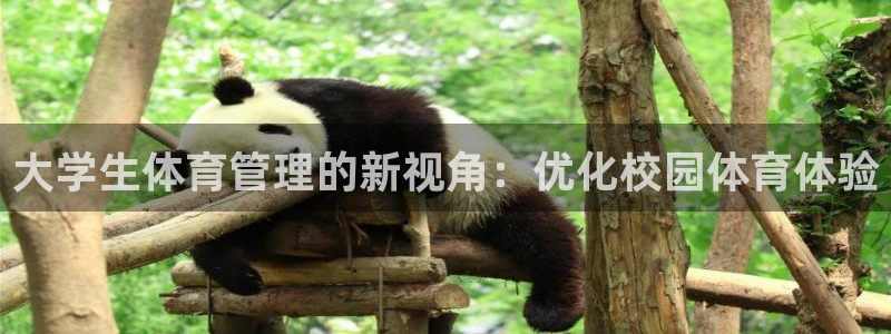 b体育必一下载：大学