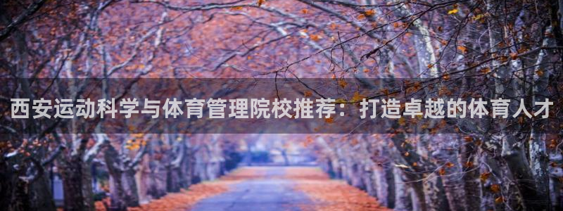 必一体育运动平台官网