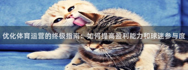 必一体育app下载安