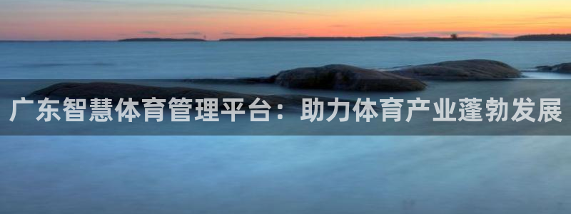 必一体育运动app下