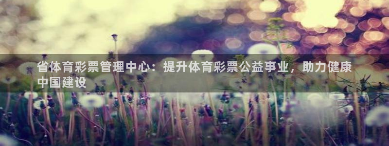 必一体育bsport