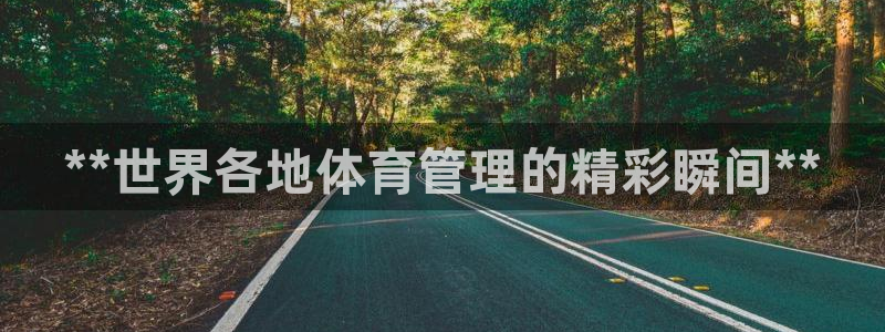 必一体育app官方下