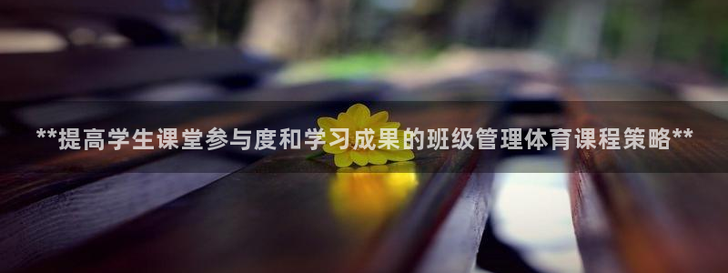 b体育官网下载入口a