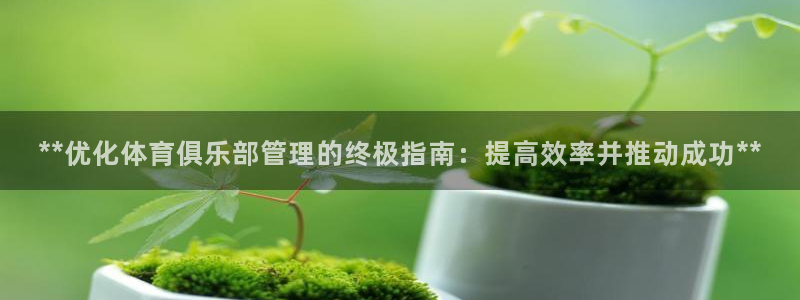 必一体育是哪里的台子