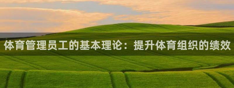 必一体育在哪下：体育