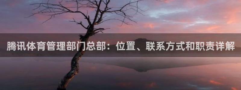 必一体育是哪里的台子