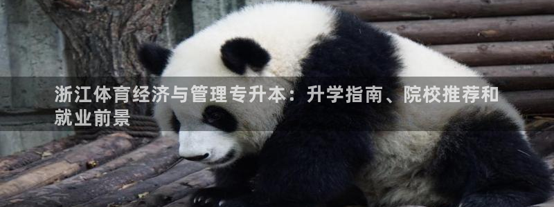 必一体育APP下载安