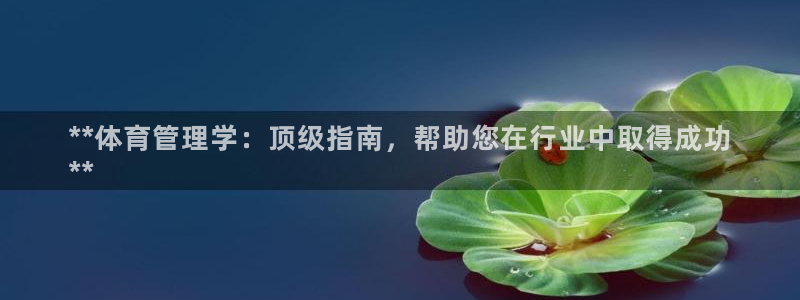 必一体育下载意思：*