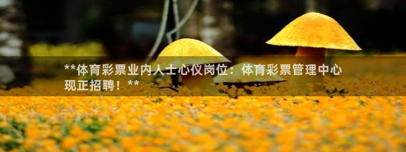 必十二和必一的副作用