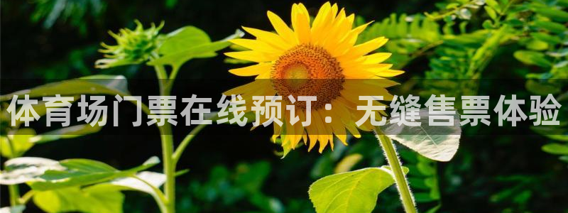 必一体育在线入口：体