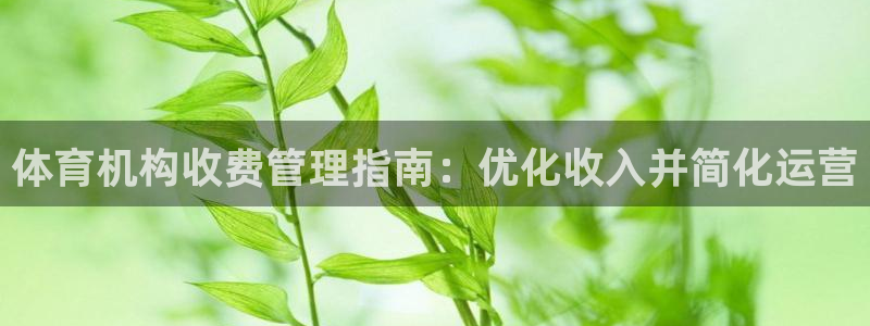 必一体育能提现大金额