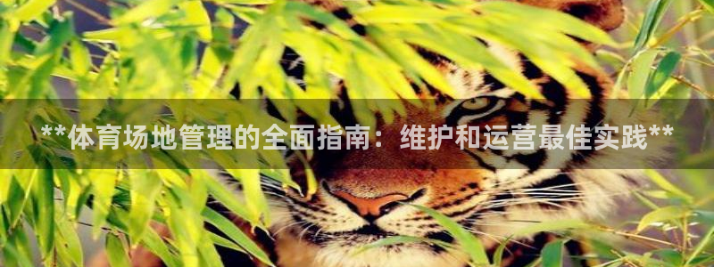必一体育游戏玩法：*