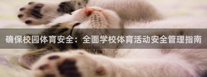 必一体育下载app：