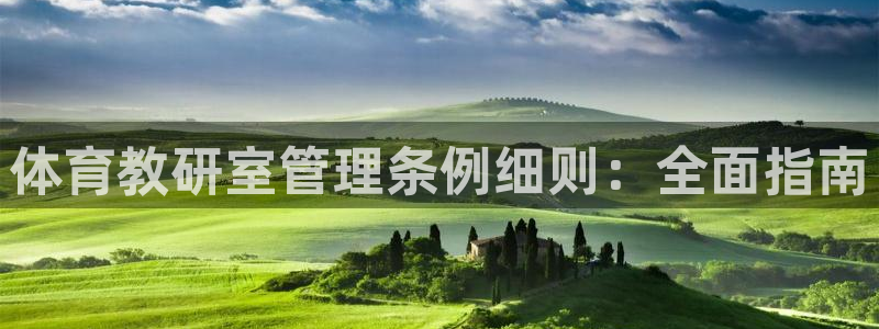 必一体育官方网站入口