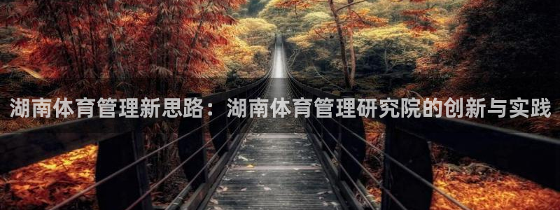 必一体育sport下