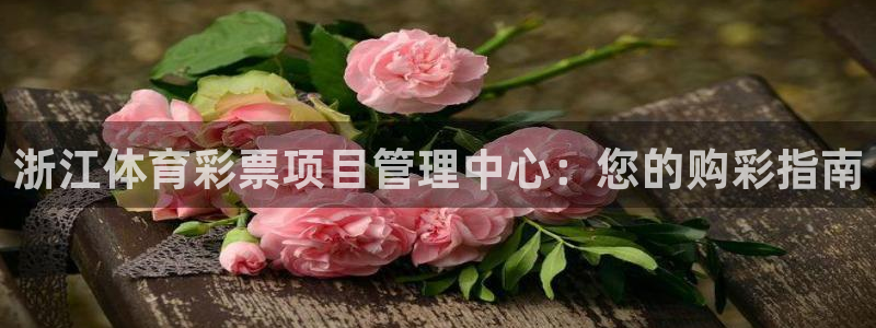 必一体育黑钱：浙江体