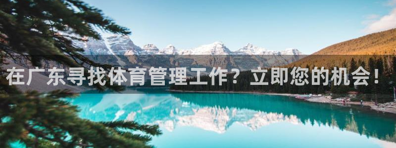 必一体育官网ios下