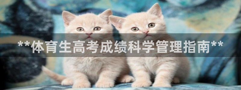 必一体育运动app下