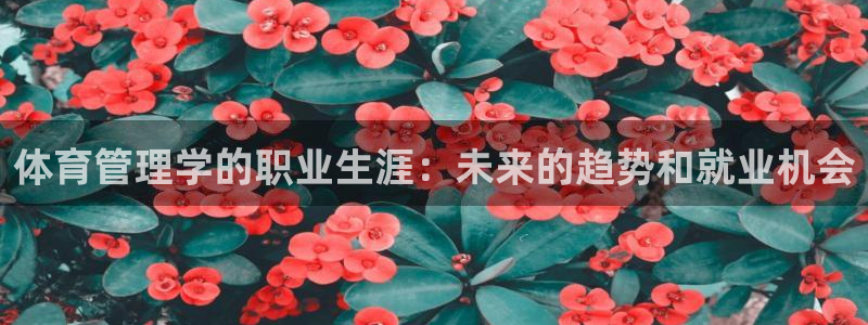 必一体育在线玩：体育