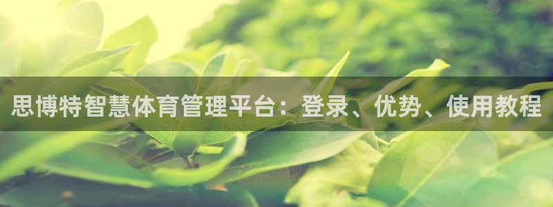 必一体育网页登录版官