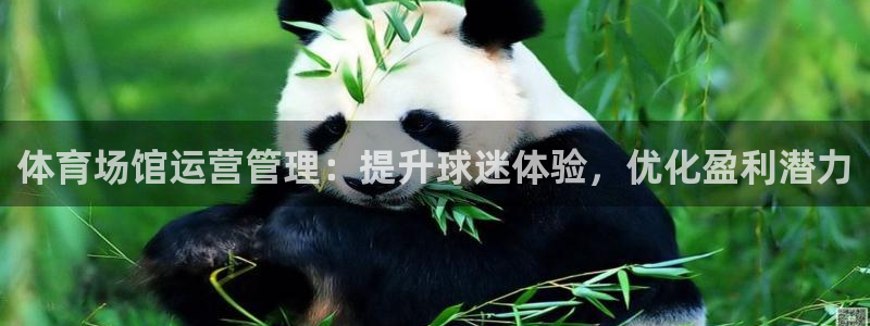 必一体育下载一样吗：