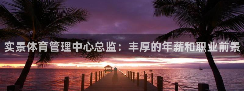 必一体育验证码：实景