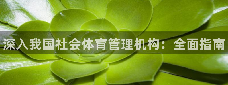 必一体育sport官