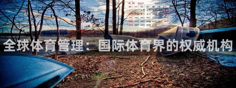 必一体育app官方：