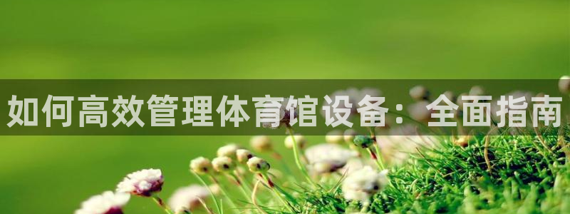 必十二和必一的副作用