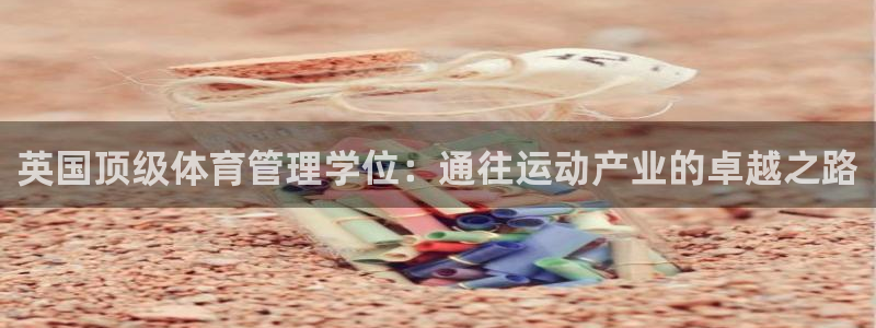 必一体育游戏特色：英