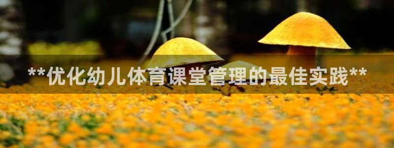 必一体育app下载装