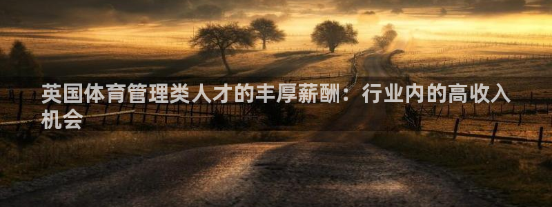 必一体育sport网
