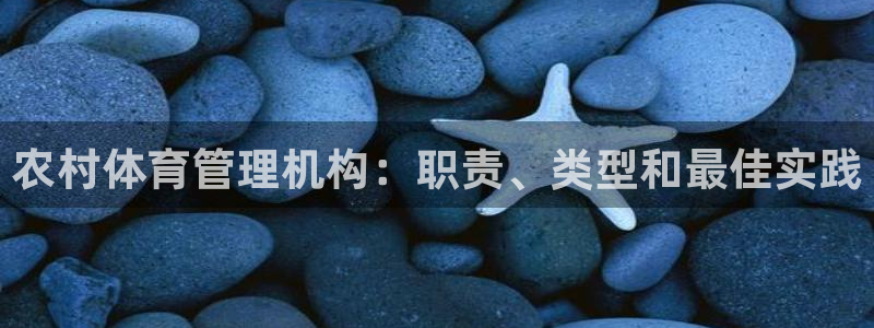 必一体育官网网站：农