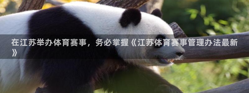 必一体育没了：在江苏