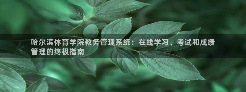 必一体育是哪里的台子