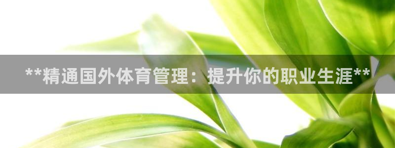必一体育sportB