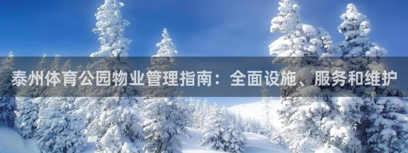 必一体育最新官网入口