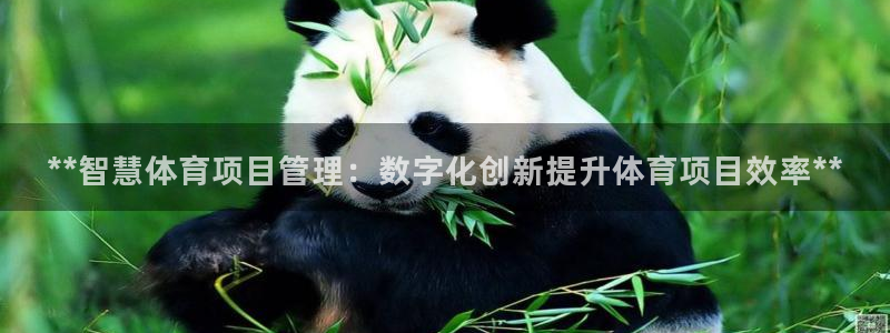 必一运动 b 体育素