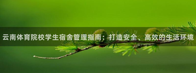 必一体育官方入口：云