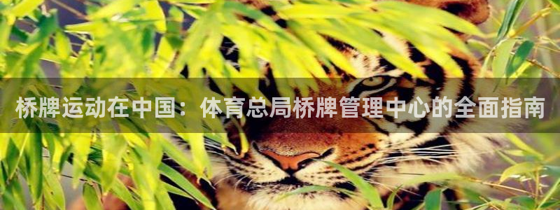 必一体育官方下载入口